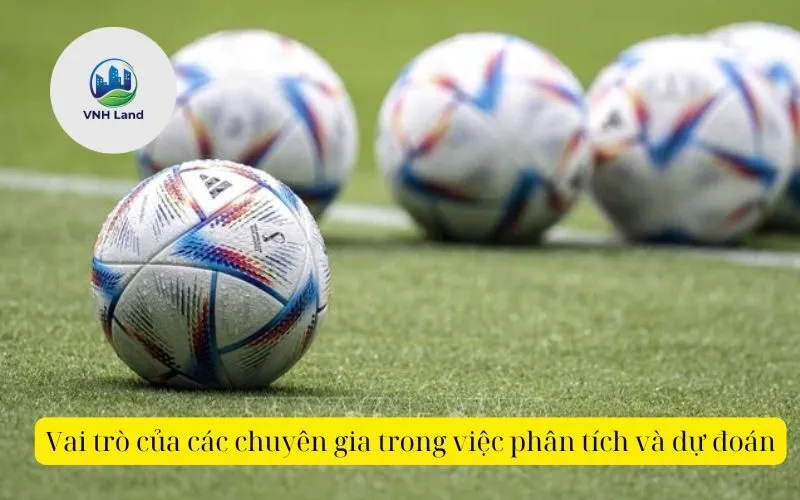 Vai trò của các chuyên gia trong việc phân tích và dự đoán