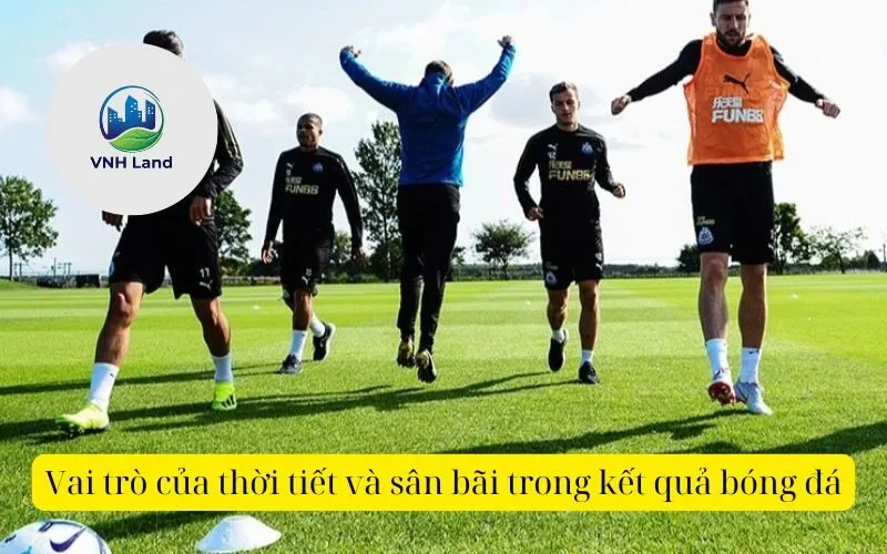 Vai trò của thời tiết và sân bãi trong kết quả bóng đá