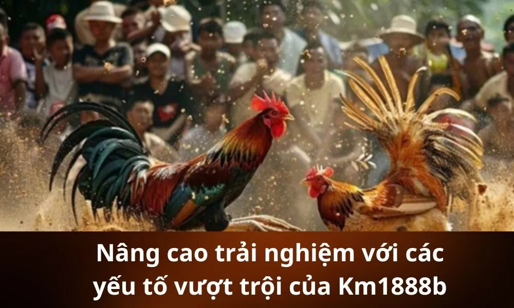 Nâng cao trải nghiệm với các yếu tố vượt trội của Km1888b