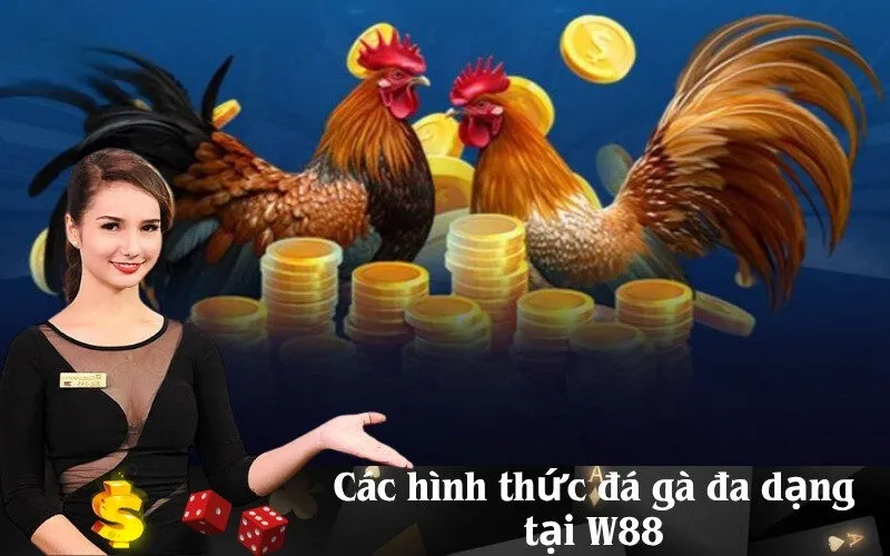 Các hình thức đá gà đa dạng tại W88