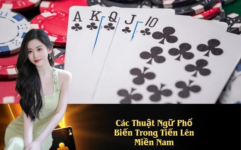 Các Thuật Ngữ Phổ Biến Trong Tiến Lên Miền Nam