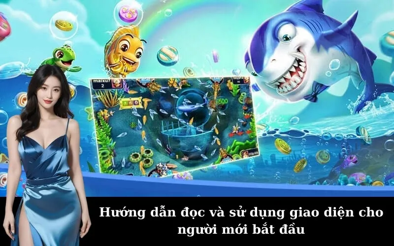 Hướng dẫn đọc và sử dụng giao diện cho người mới bắt đầu