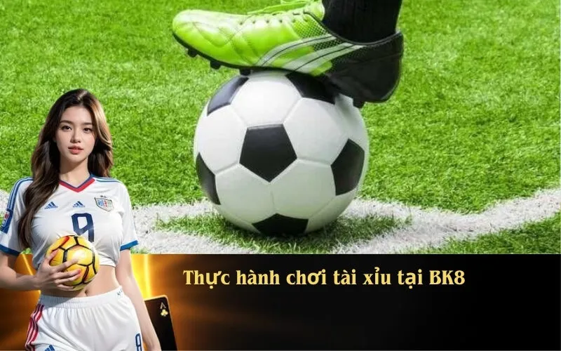Thực hành chơi tài xỉu tại BK8